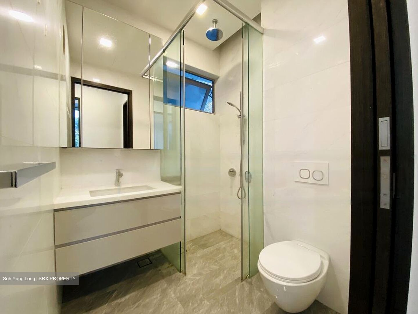 Liberte (D10), Apartment #482751941